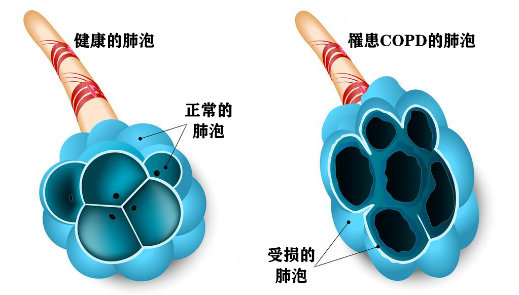 微信圖片_20221112151841.png