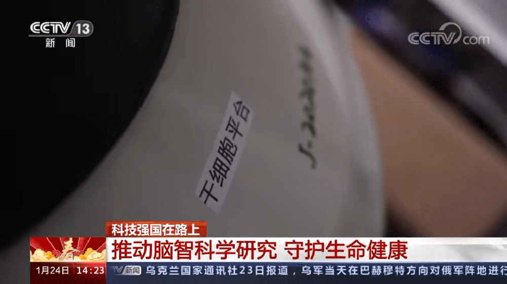 央視新聞：干細(xì)胞治療近年逐漸成熟并進(jìn)入臨床轉(zhuǎn)化?