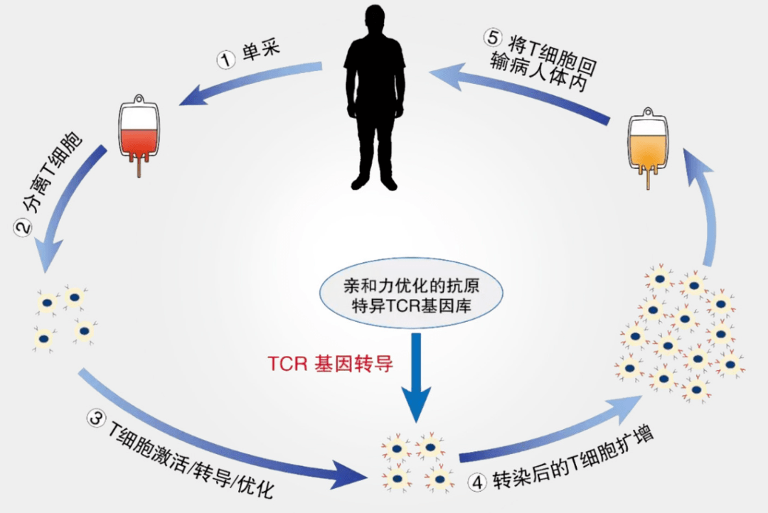 adde1419f99a45d59ceecc8974f6ad17.png