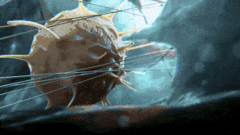 640 (2).gif