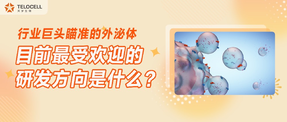 行業(yè)巨頭瞄準(zhǔn)的外泌體,目前最受歡迎的研發(fā)方向是什么?