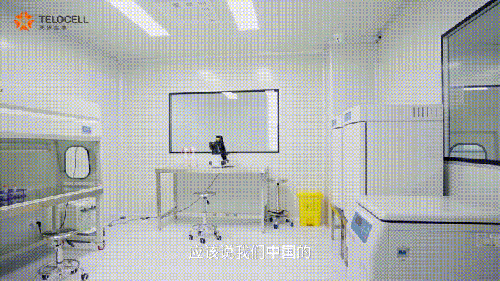 第三段.gif