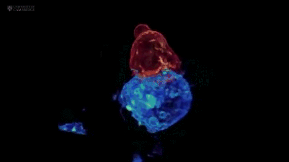 640 (1).gif