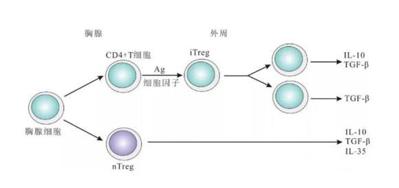 調節(jié).jpg